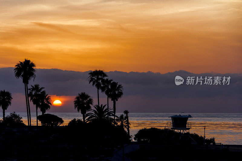 太平洋日落与棕榈树的剪影
