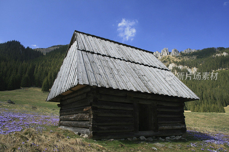 mounaineer的小木屋