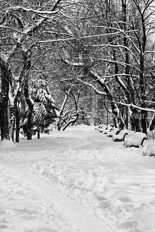 城市公园雪道(黑白图像)