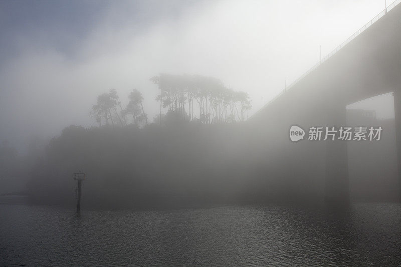 桥和树隐藏在海岸雾