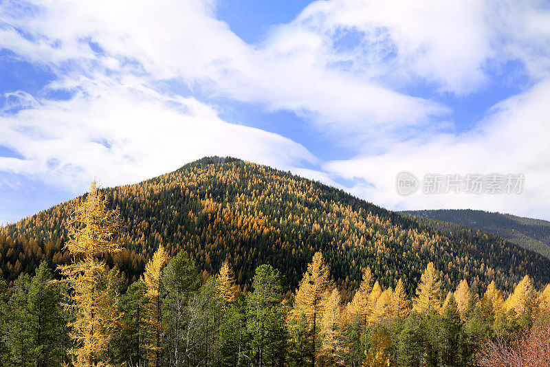 蒙大拿秋天的风景