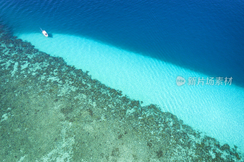 珊瑚礁，潜水，浮潜，鸟瞰图