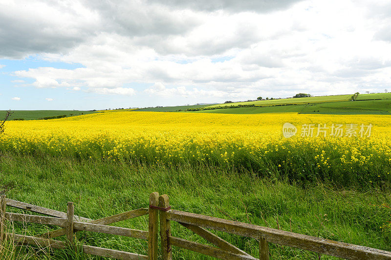 英国的风景