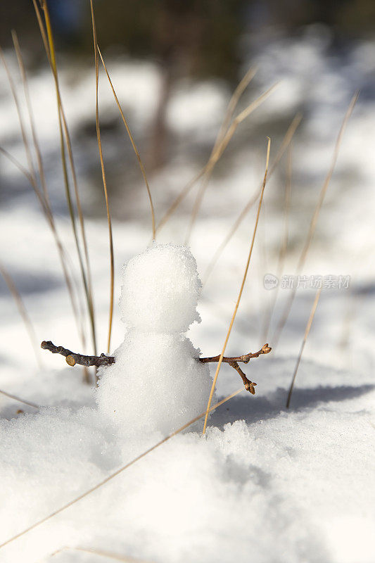 微小的雪人