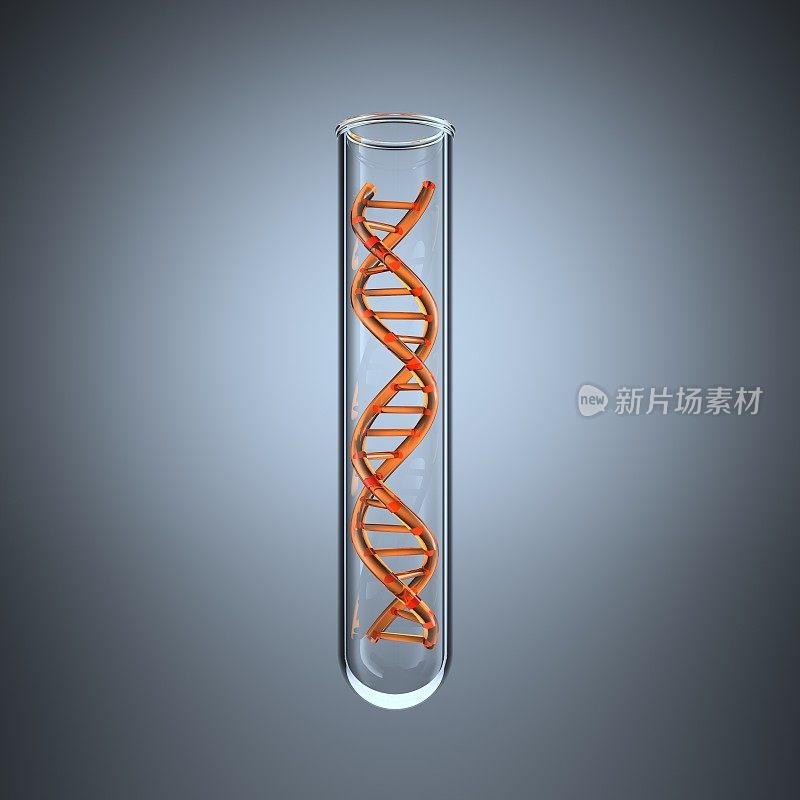 试管DNA