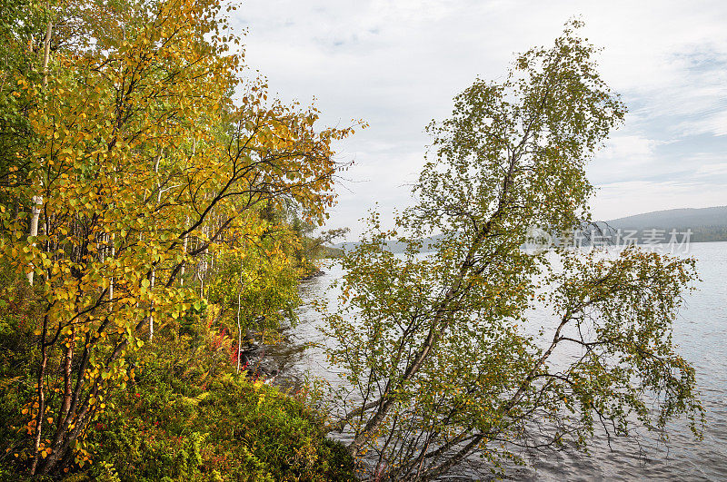 图罗玛河，秋天，海岸，摩尔曼斯克地区