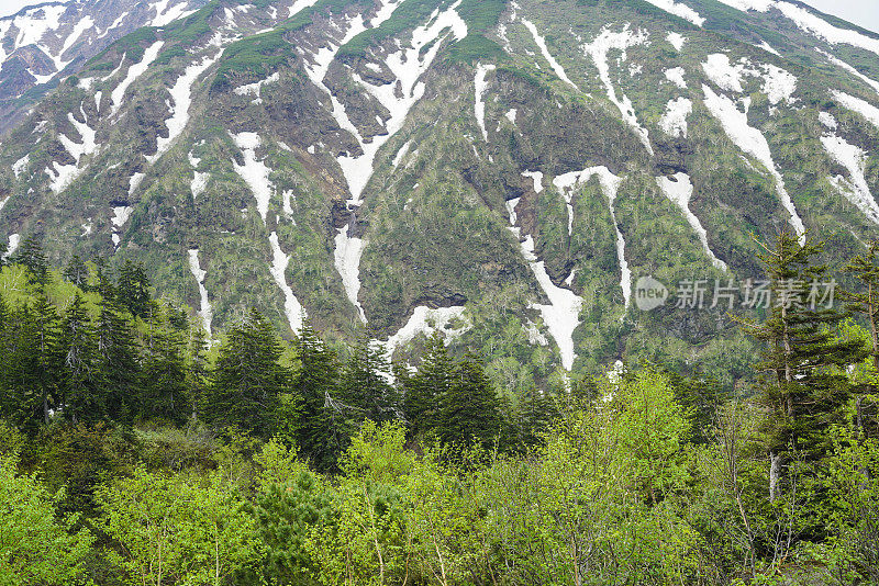 北海道Tokachidake活火山附近的斜坡