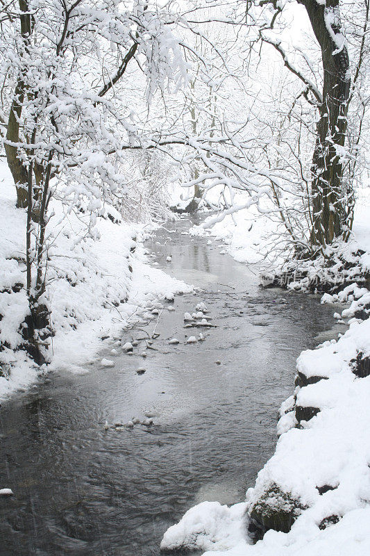 雪流