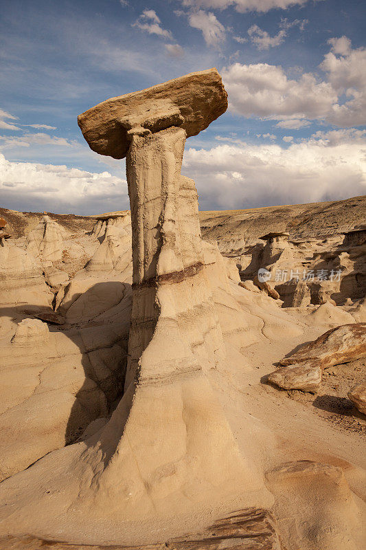 平衡新墨西哥州比斯提荒地的岩石。