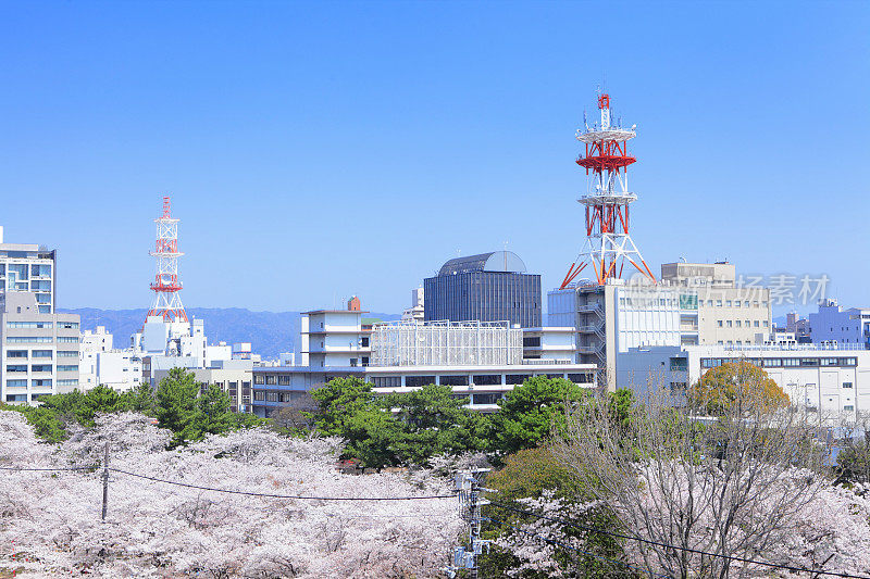 和歌山市的春天