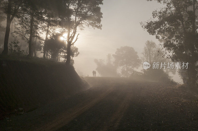 两个人在日出时在缅甸薄雾笼罩的森林中徒步旅行
