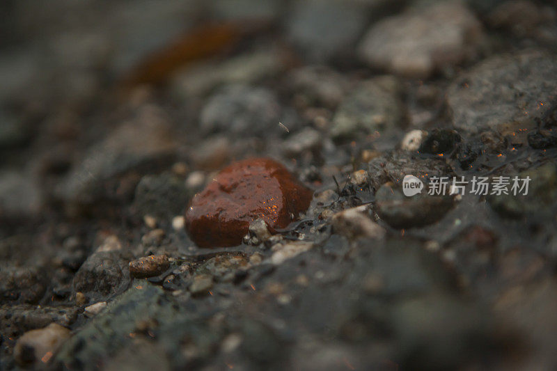 潮湿和多雨的