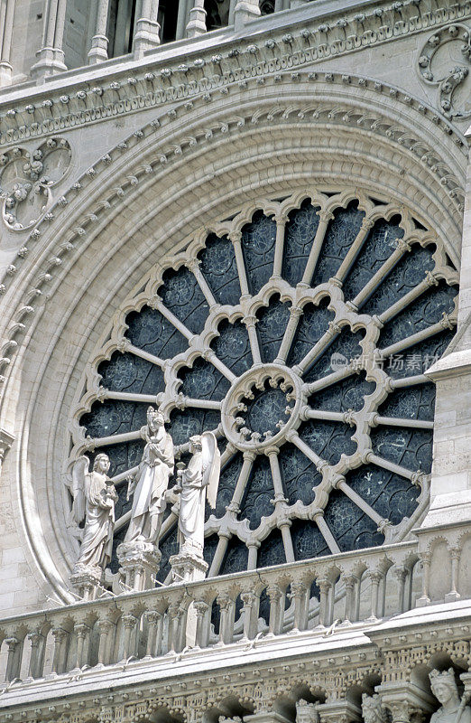 巴黎圣母院彩色玻璃玫瑰，巴黎，法国