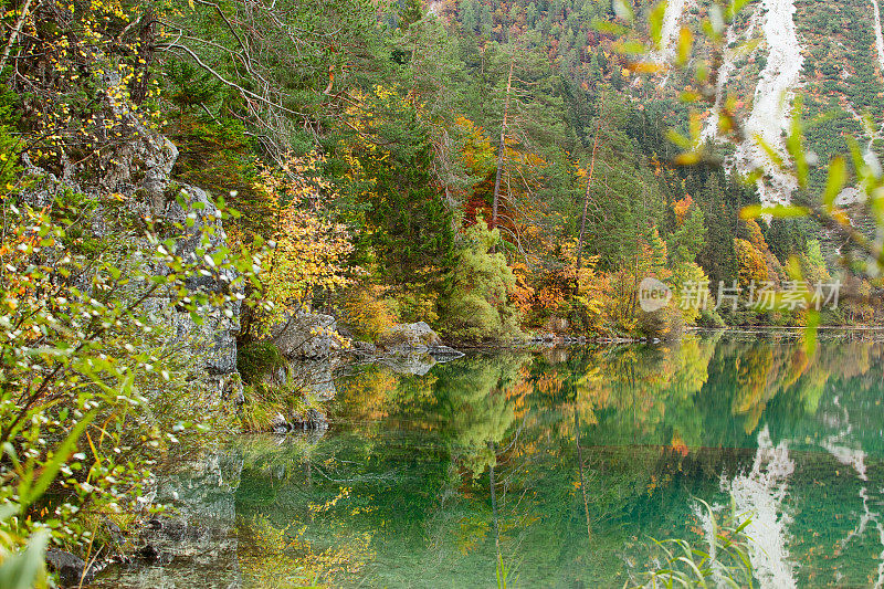 托维尔湖的树叶。特伦蒂诺-阿尔托·阿迪格意大利。