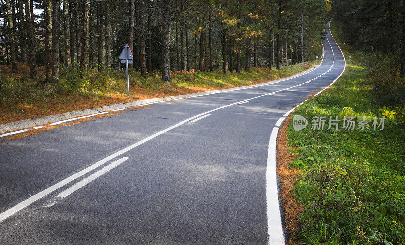 秋天的道路