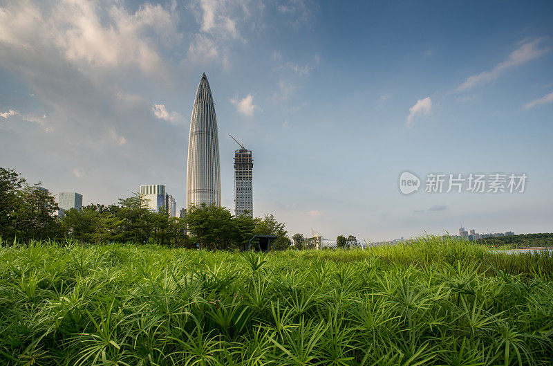 深圳市区的天际线