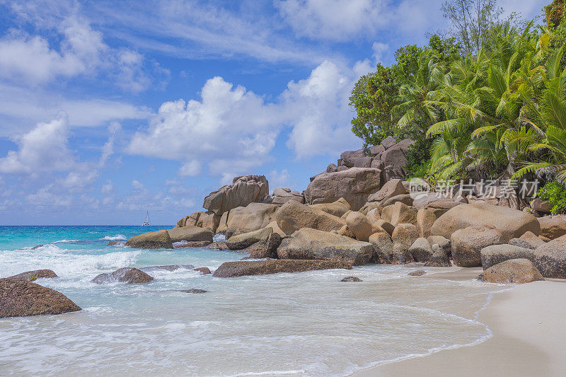 热带海滩安斯乔其特与典型的花岗岩岩层和棕榈树在Praslin岛，花岗岩塞舌尔，群岛国家在印度洋