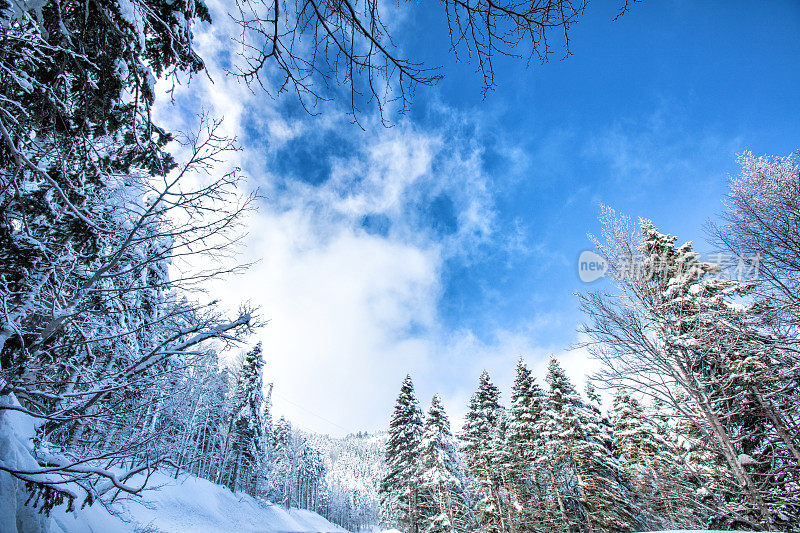 冰雪覆盖的冬季森林和山地景观