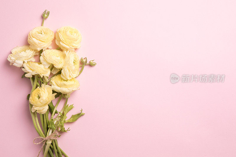 美丽的春花以粉红色为背景，花框构成