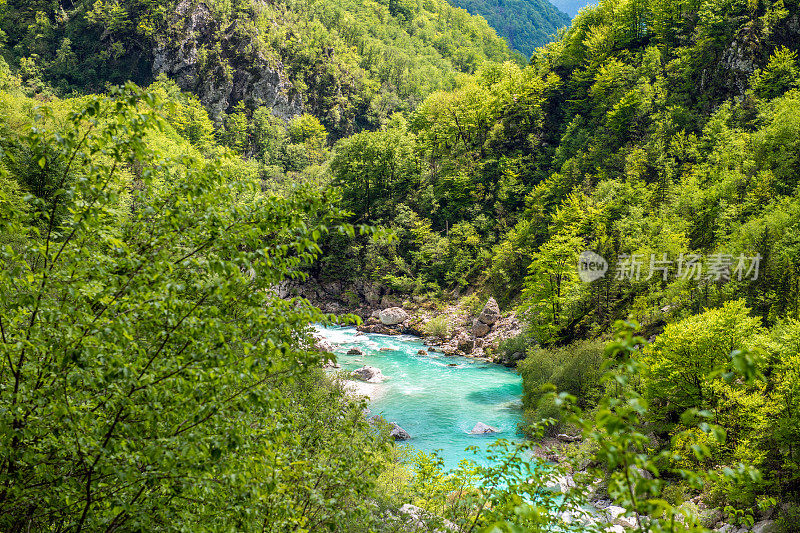 欧洲斯洛文尼亚科巴里德附近美丽的绿松石索卡河