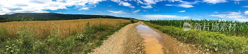 夏天的土路和田野全景