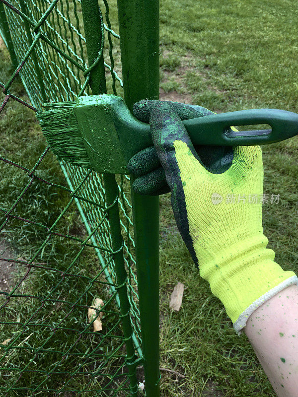 一只戴着工作手套的手把生锈的栅栏漆成绿色