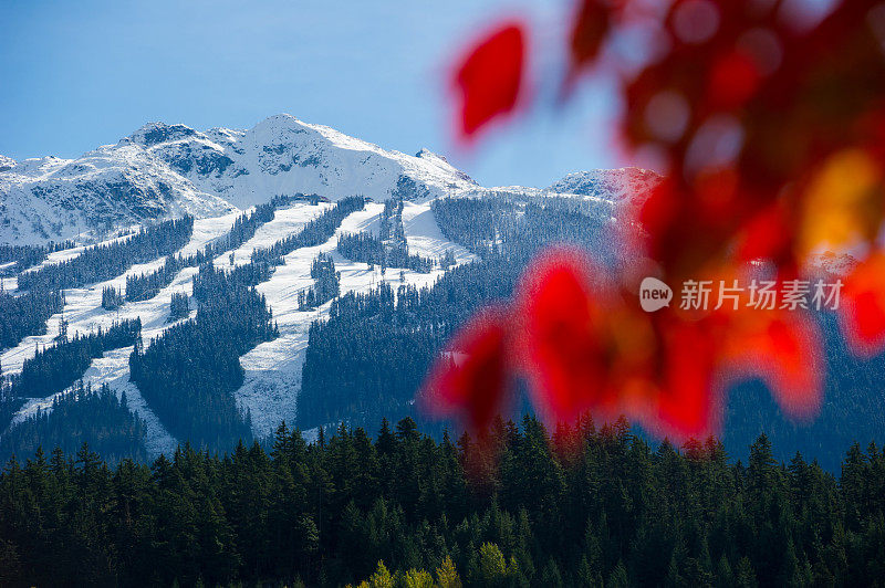 山间的秋天