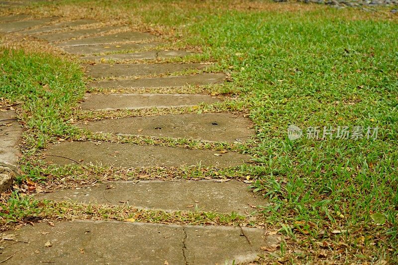 草地上的旧水泥石小路