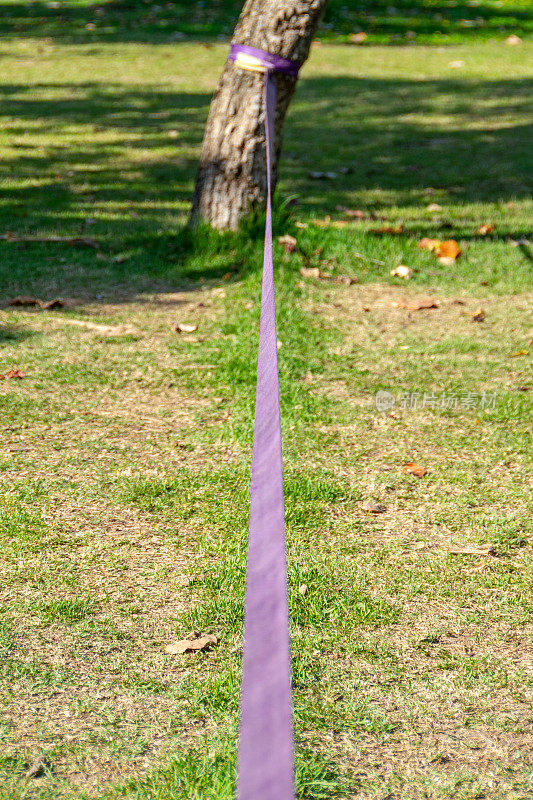 被困在里约热内卢公园的一棵树上的紫色懒人绳。