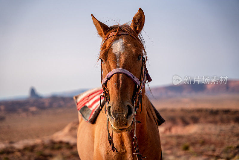 亚利桑那州沙漠纪念碑谷的美洲原住民湾马