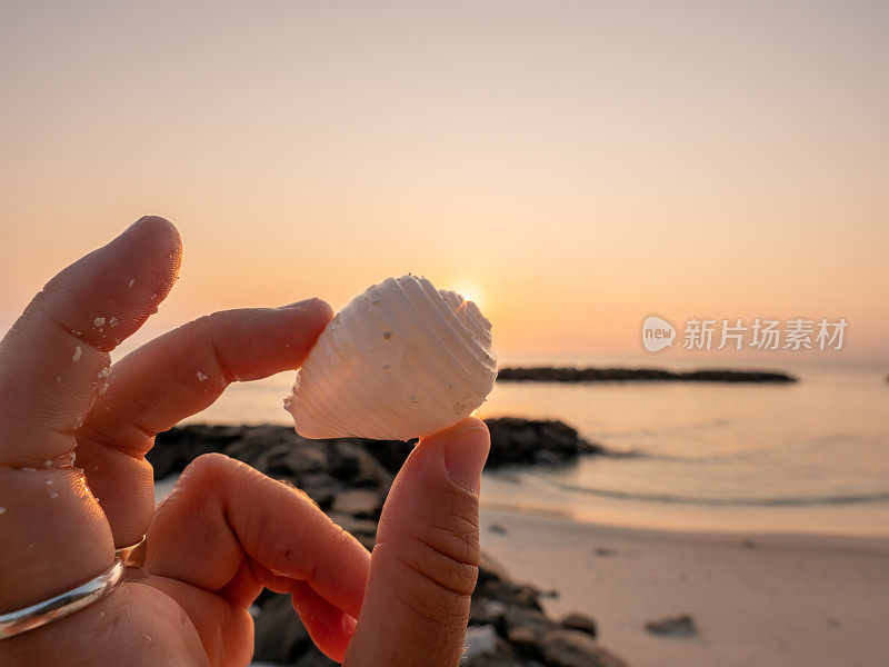 在日出的时候，一个人的手捧着美丽的贝壳