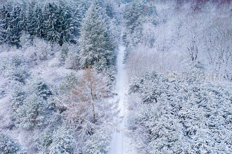 鸟瞰图，一条被白雪覆盖的森林包围的道路。