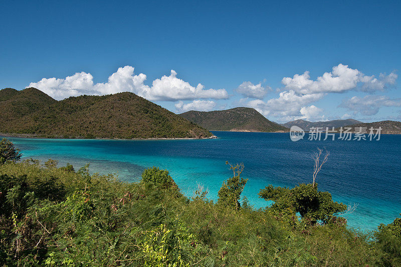 美属维尔京群岛-珊瑚礁-度假