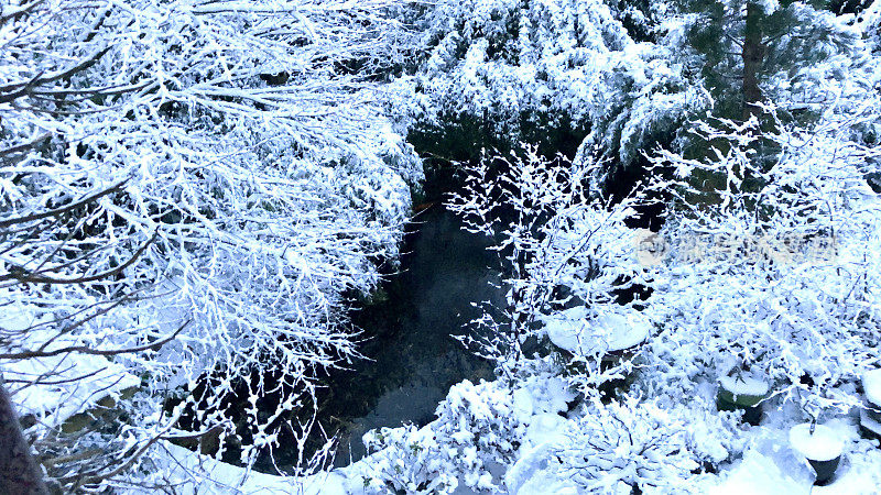 大雪过后，冰雪覆盖的冬季花园里的大型锦鲤池塘