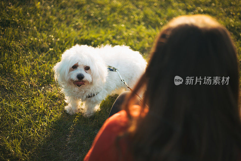 女人与狗