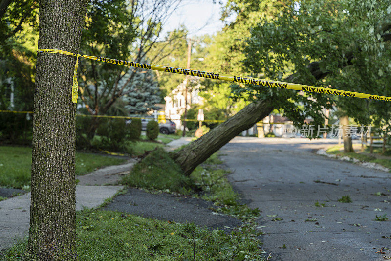 警察设置的路障标志着这条路在郊区因为危险的大风而被封闭。一场风暴过后，一棵倒下的树挡住了新泽西州一个小镇的街道。