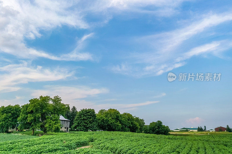 加拿大库克敦，夕阳下27号公路上的农场