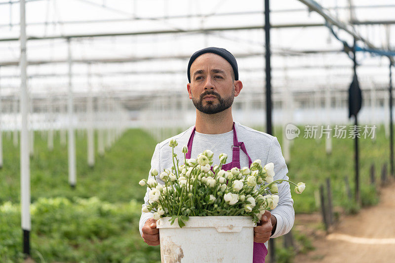 成人花匠在毛茛温室工作的照片