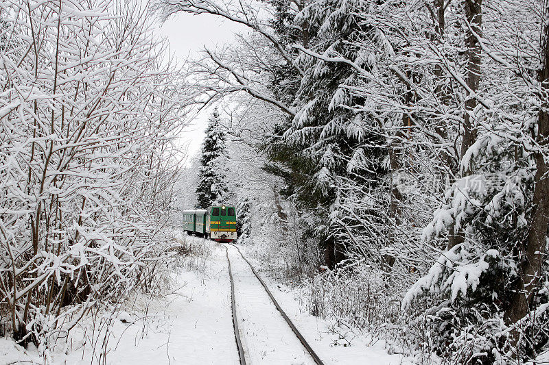 旅行的概念。一列火车在白色的冬季森林中穿行，就像极地快车，户外的仙境