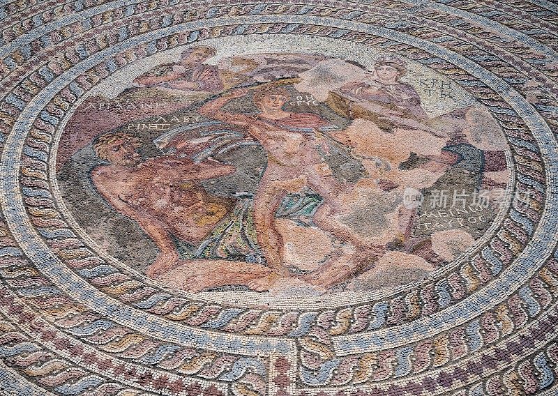 塞浦路斯尼亚帕福斯，忒修斯之家的罗马镶嵌画
