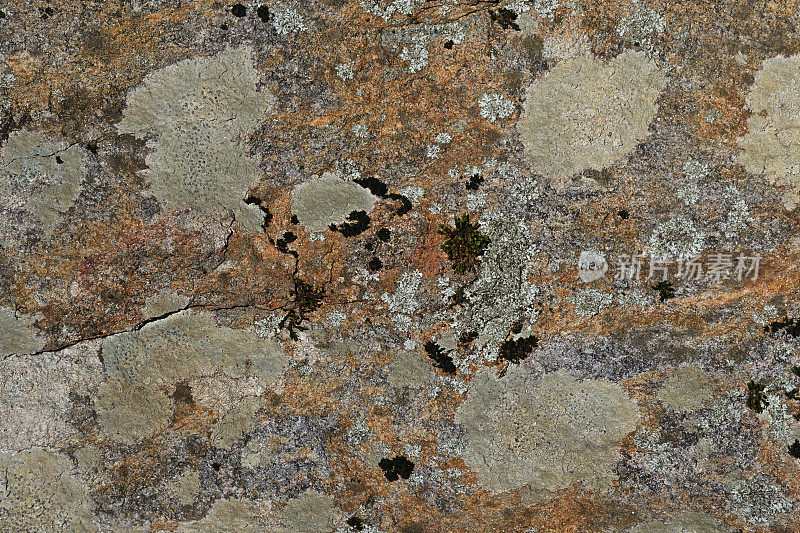 裂缝岩石上的青苔，锈迹和苔藓