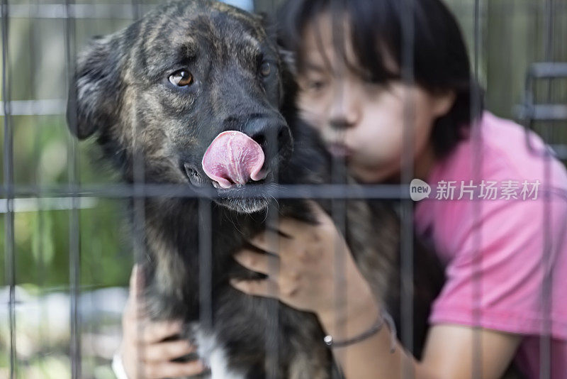 在当地的动物收容所，这只看起来斑纹的狗信任志愿者和他一起待在笼子里