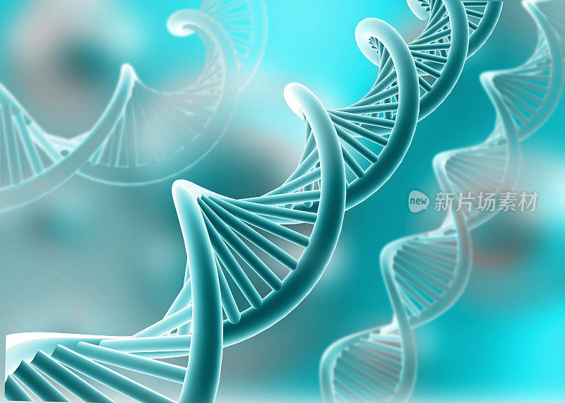DNA结构，DNA链分子结构