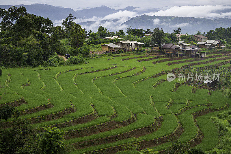 梯田，清迈，泰国