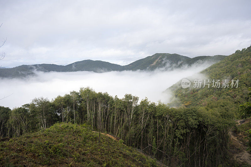 山林云雾