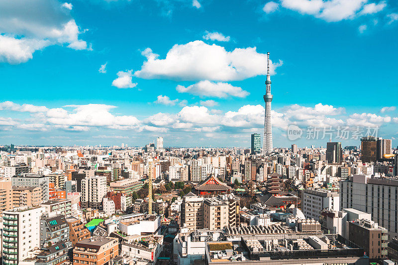 东京天空树俯瞰日本城市景观的屋顶