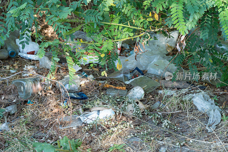 森林里的垃圾堆散落在草地上。野餐后树林里的塑料垃圾。