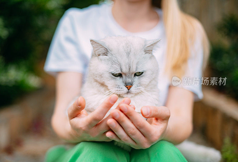 年轻女子和她漂亮的猫