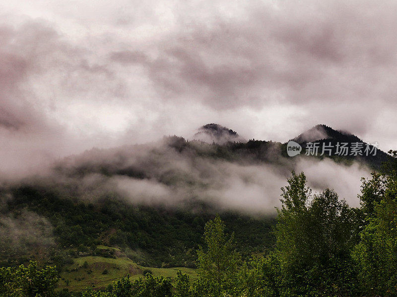 夏日迷雾笼罩的山顶