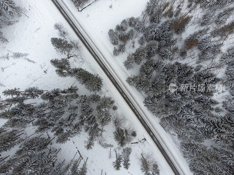 正上方一条笔直的道路穿过波兰冬季山区一片白雪覆盖的森林